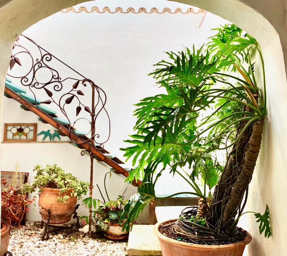 CASA DEL TEATRO Luxury Casas Vejer Debra Villa Vejer de la Frontera Eksteriør bilde